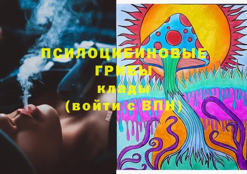 Псилоцибиновые грибы Magic Shrooms  где продают наркотики  kraken ССЫЛКА  Вяземский 